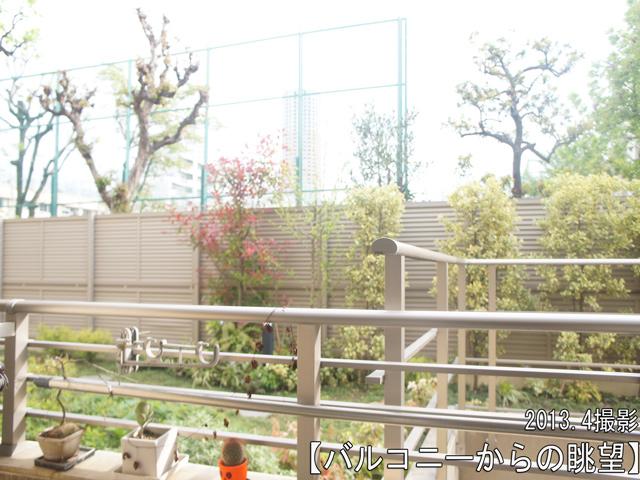 View photos from the dwelling unit. View from local (April 2013) Shooting