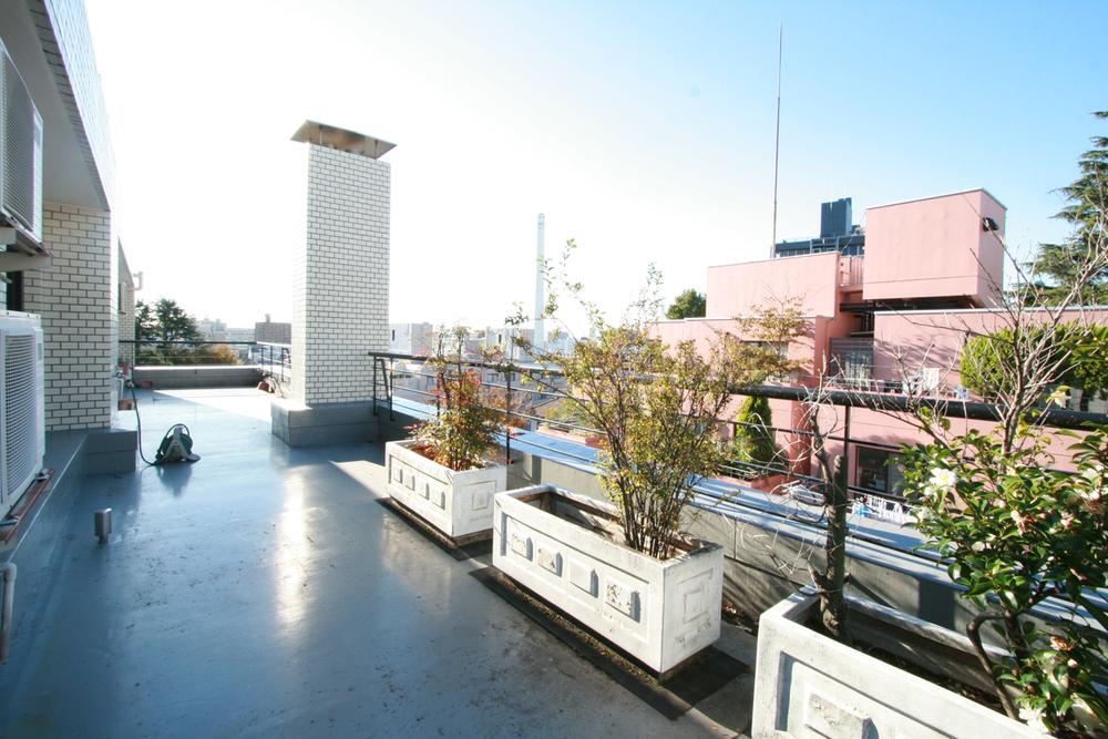 Other. Roof terrace
