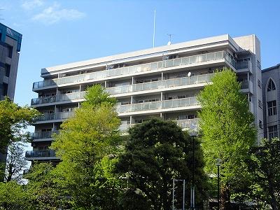 Local appearance photo. appearance
