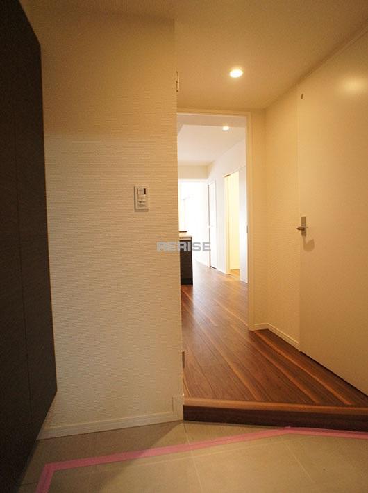 Entrance. Wide entrance