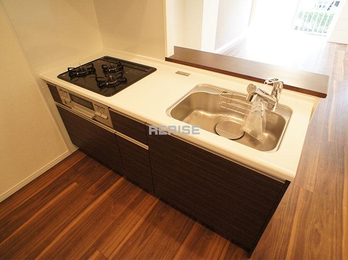 Kitchen. Counter Kitchen