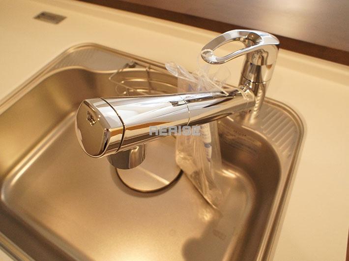 Other Equipment. Water purifier built-in sink