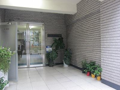 Entrance. Common areas