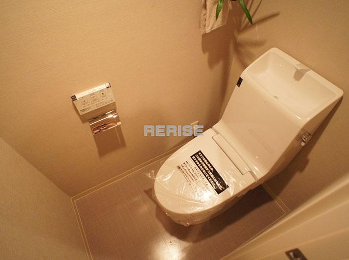 Toilet