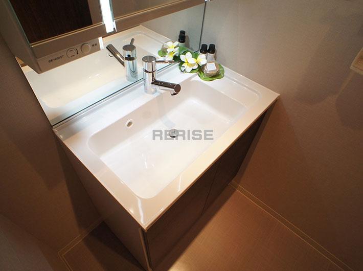 Wash basin, toilet. Shower head