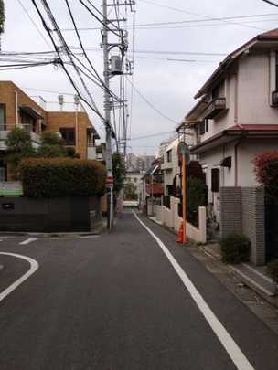 Local land photo. Front road (1)