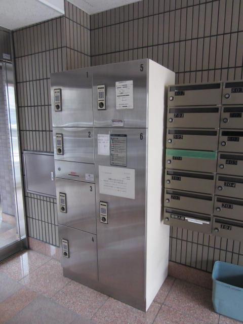 Entrance. Delivery Box