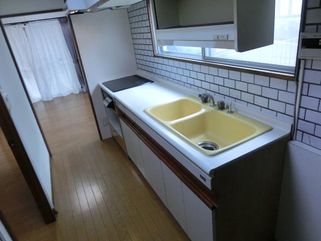 Kitchen. Indoor (11 May 2013) Shooting