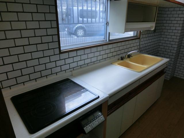 Kitchen. Indoor (11 May 2013) Shooting