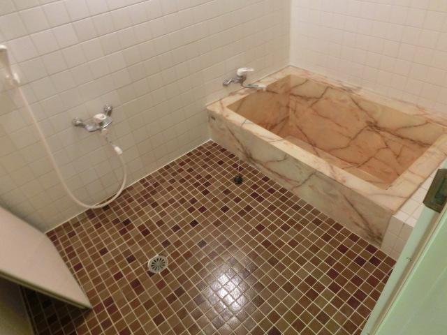Bathroom. Indoor (11 May 2013) Shooting