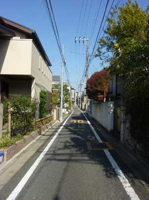 Local land photo. Frontal road 