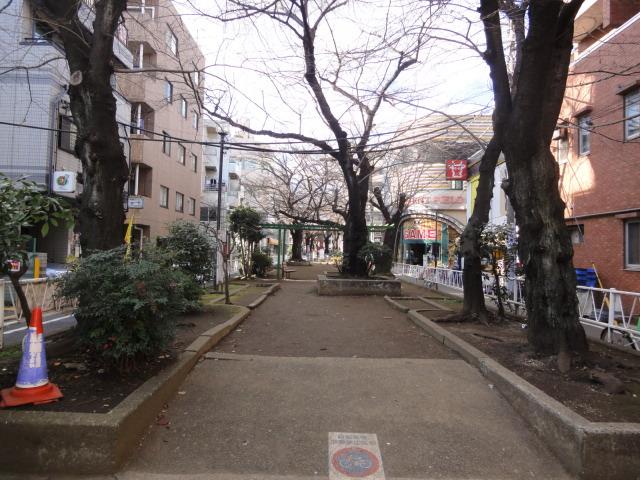 Other Environmental Photo. The 呑川 green road up to 30m along the green road in front of the station, Sakura is adorned in spring. 