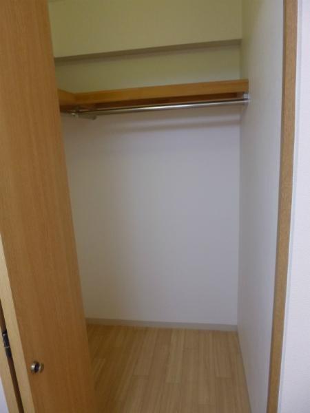 Non-living room. Walk-in closet with the bedroom