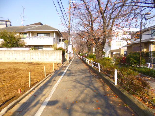 Local photos, including front road