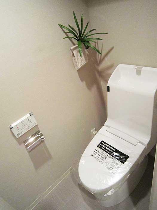 Toilet
