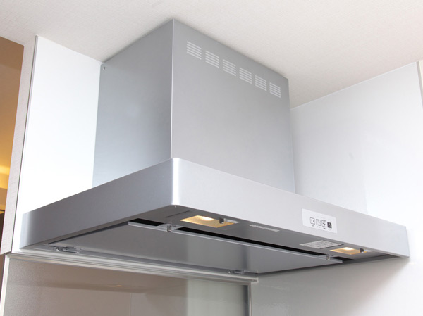 Kitchen. Rectification Backed design hood
