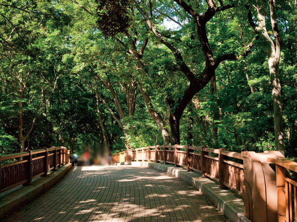 Surrounding environment. Hayashi試 of Forest Park (about 160m ・ A 2-minute walk)