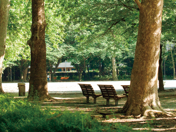 Surrounding environment. 2-minute walk from the "Hayashi試 of Forest Park". The size of the park is the East-West 700m, North and south 250m, Around 2.3km. Area is vast and 12 hectares, This corresponds to the Tokyo 2.58 pieces of the dome. Sights, Colorful trees lush landscape of domestic and foreign.  (Hayashi試 Forest Park / About 160m ・ A 2-minute walk)