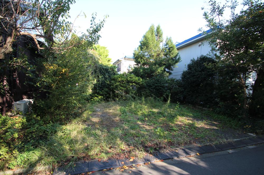 Local land photo. Local (11 May 2013) Shooting