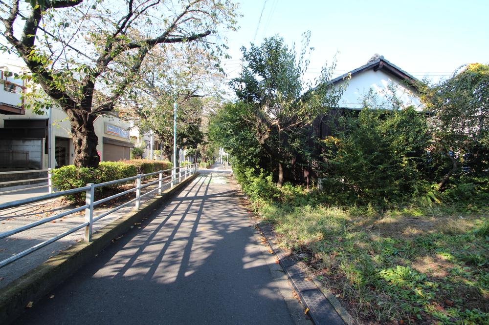 Local land photo. Local (11 May 2013) Shooting