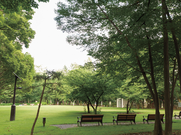 Forest Park of Metropolitan forest trial (8-minute walk / About 580m)