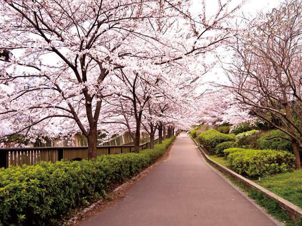 Surrounding environment. Sakura hunched over toward the Meguro River green tract, Out it reflects the beauty of the four seasons. (About 160m ・ A 2-minute walk)