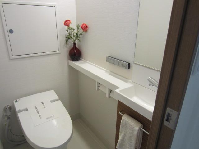 Toilet. Indoor (10 May 2013) Shooting