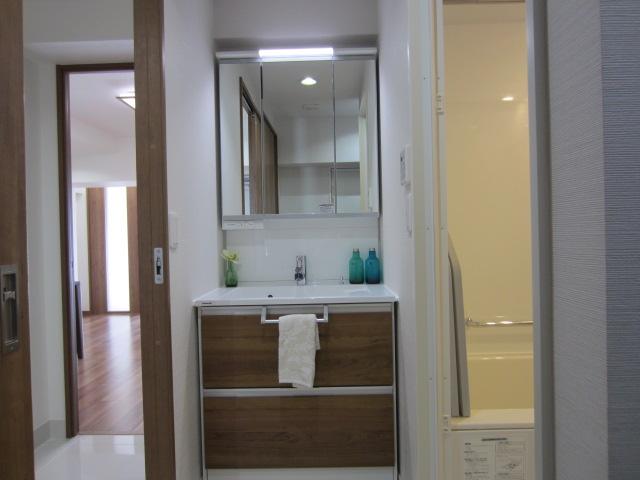 Wash basin, toilet. Indoor (10 May 2013) Shooting