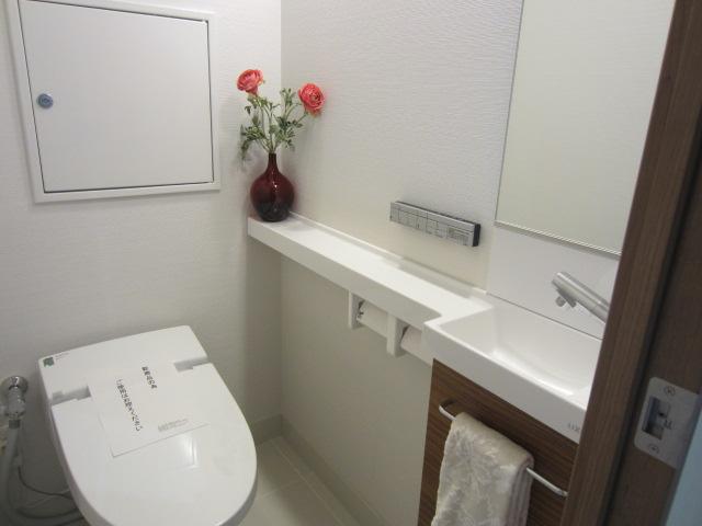 Toilet. Indoor (10 May 2013) Shooting