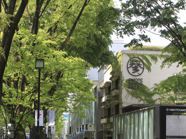 Surrounding environment. Omotesando Hills (about 1360m / 17 minutes walk)