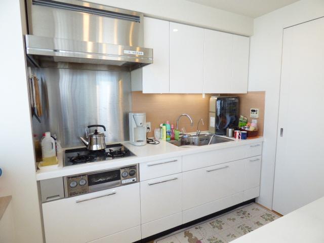 Kitchen. Indoor (11 May 2013) Shooting