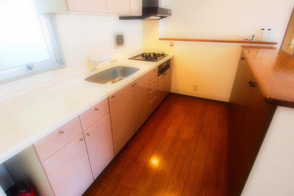 Kitchen. Indoor (12 May 2013) Shooting