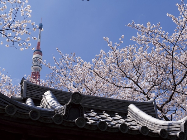 Shiba Park / About to local 660m