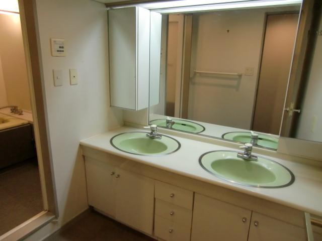 Wash basin, toilet. Indoor (July 2013) Shooting