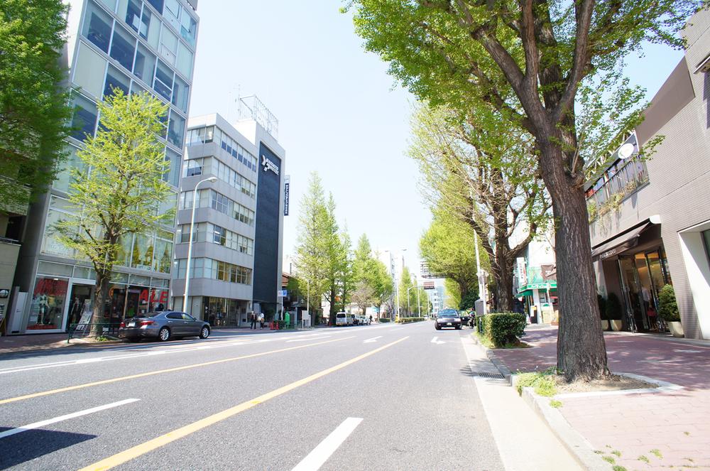 Other. Gaien West Street (Platinum Street)