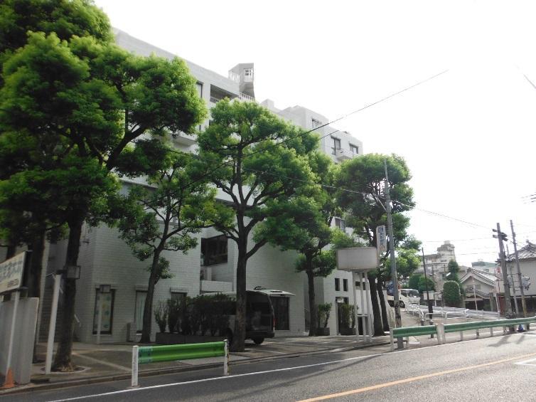 Local appearance photo. Local (August 2013) Shooting