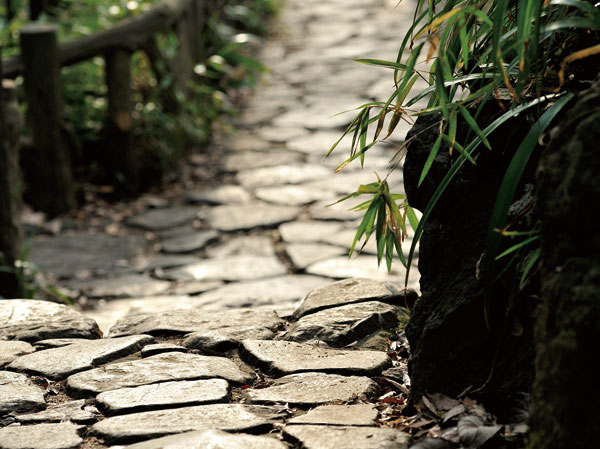 Surrounding environment. Miya Arisugawa Memorial Park (a 9-minute walk ・ About 670m)