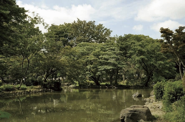 Other. Miya Arisugawa Memorial Park (a 9-minute walk / About 670m). Is a Japanese garden that takes advantage of the rich terrain in relief of Azabudai land. Dark green with the dense, Sunshine filtering through foliage, Song of a bird. Unawares, This will likely quiet garden to forget that you are in the city center
