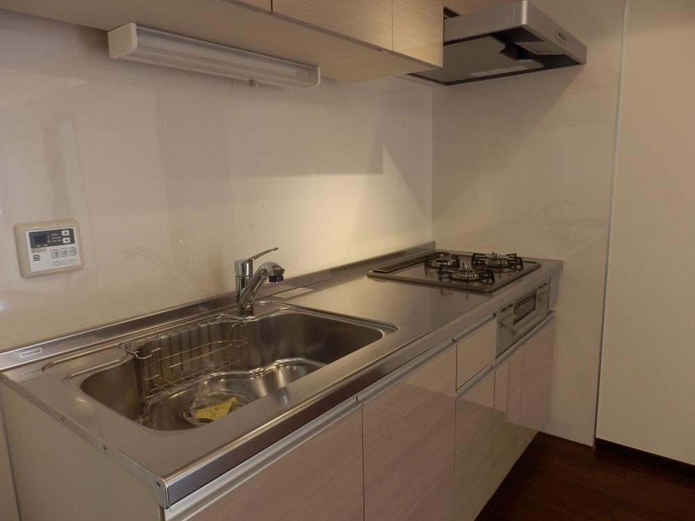 Kitchen. Indoor (11 May 2013) Shooting