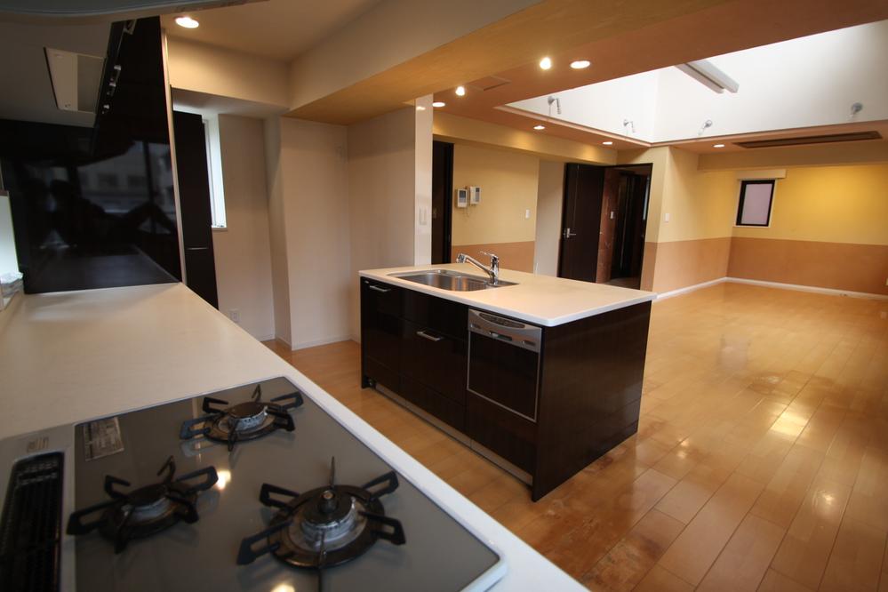 Kitchen. Indoor (11 May 2012) shooting