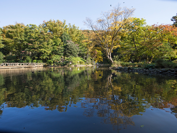 Surrounding environment. I do not think the city center, Deep green wrapped Miya Arisugawa Memorial Park (about 690m ・ A 9-minute walk). Walk the walking path along the mountain stream, Comfortably the babble of birds chirping and rivers, You can taste the moment, such as if being in Miyama.