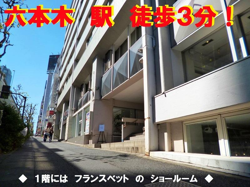 Roppongi, Minato-ku, Tokyo 4