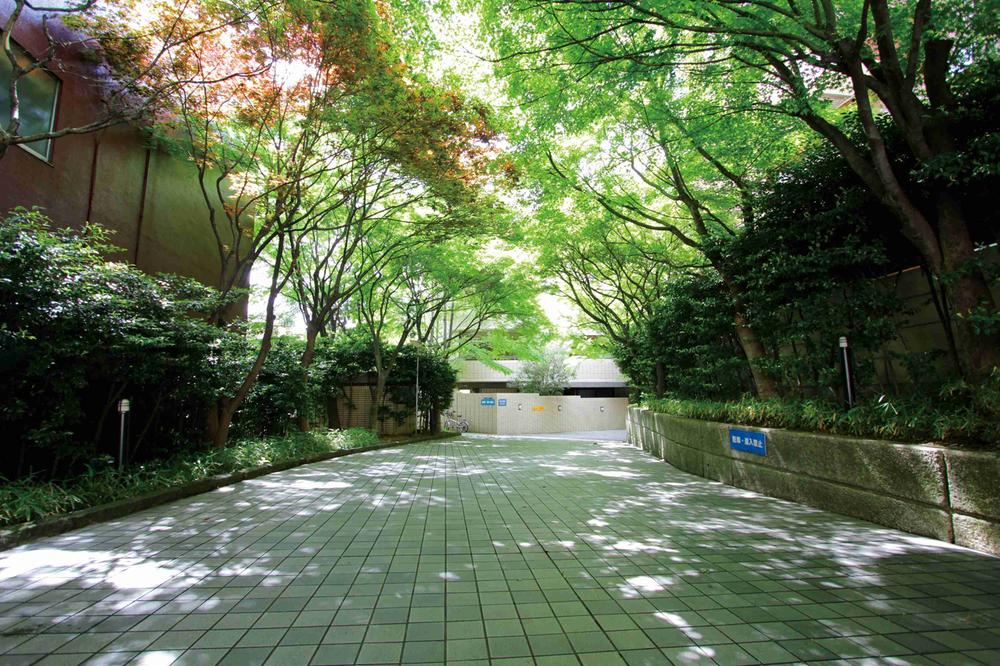 Local appearance photo. Local (August 2013) Shooting