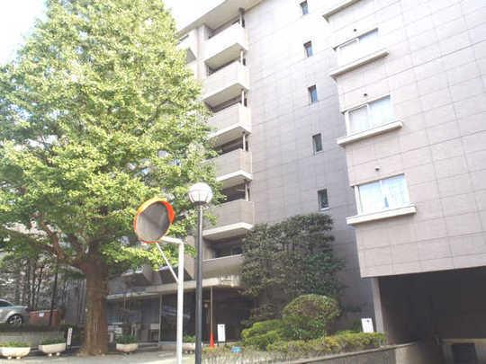 Local appearance photo. Exterior Photos  Symbol tree has to produce a sense of luxury.