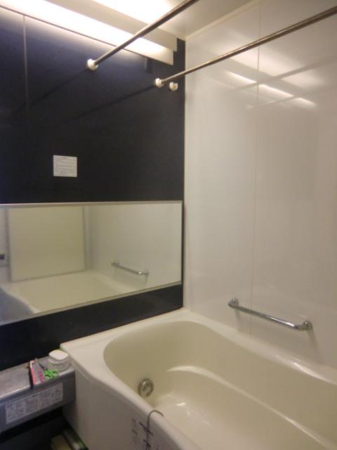 Bathroom. Indoor (10 May 2013) Shooting