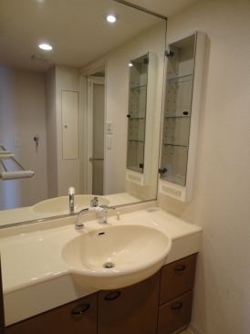 Minato-ku, Tokyo coast 2