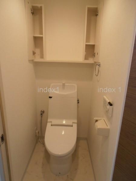 Toilet. Toilet, of course with washlet