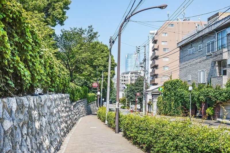 Other. Local surrounding environment