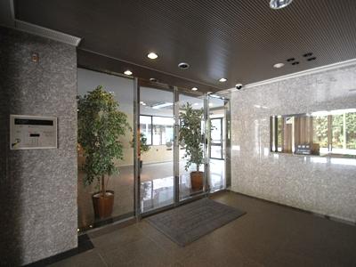 Entrance. Common areas