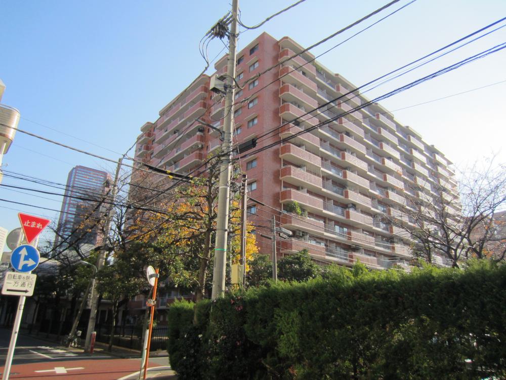 Local appearance photo. 2013 December shooting